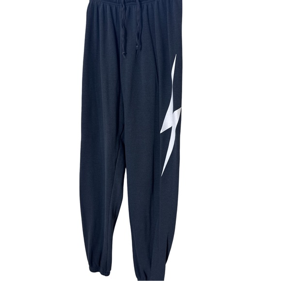 Aviator Nation Other - Aviator Nation Charcoal/blue Jogger with White Bolt Size Extra Large